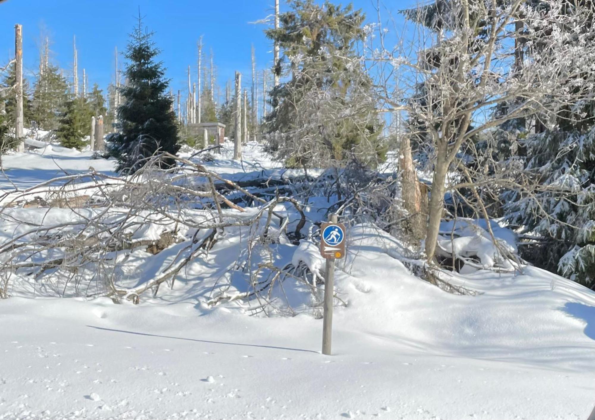 Harzer Traum - Renoviert, Inklusive Waesche Und Wlan * Braunlage